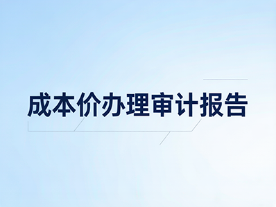 审计报告代办 - 青云标案标书代写服务