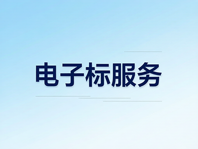 企业电子标书制作与上传服务 - 青云标案标书代写服务